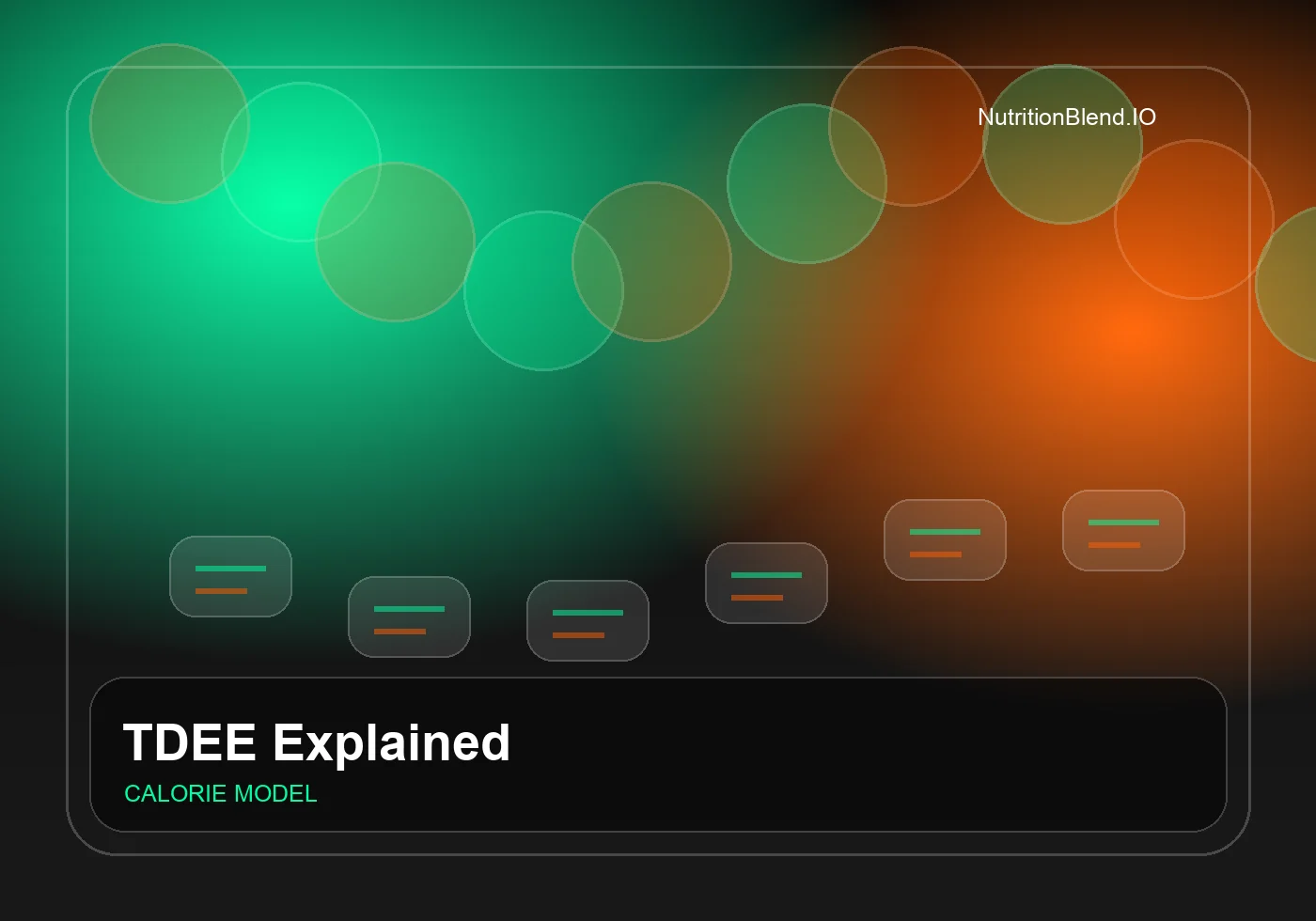 TDEE Explained: Calories Without Guesswork